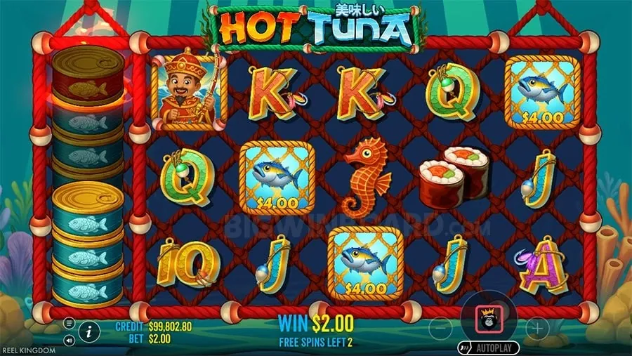 Player studying game strategy for bigbunny casino